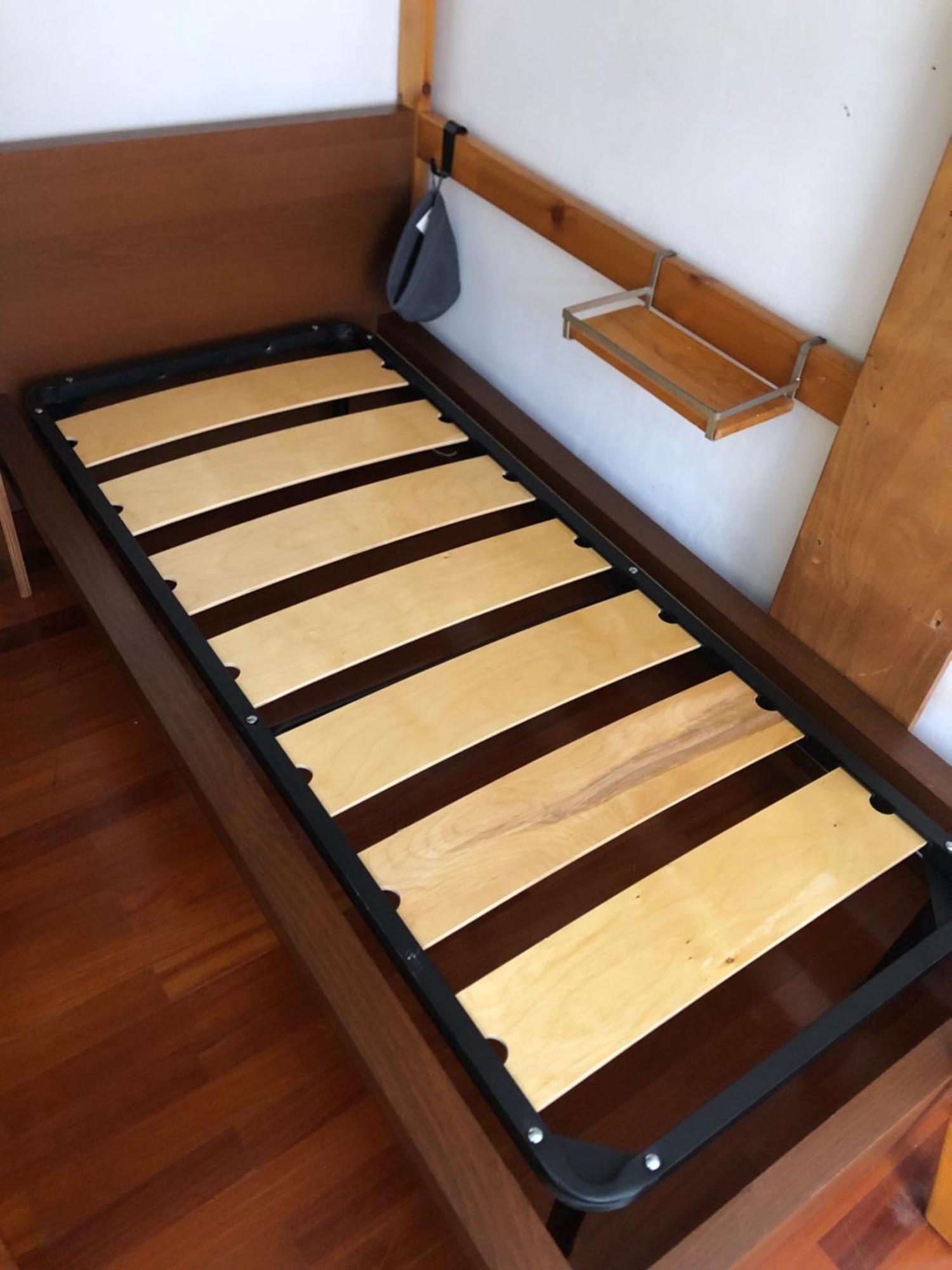 Campus Apartment トリノ エクステリア 写真